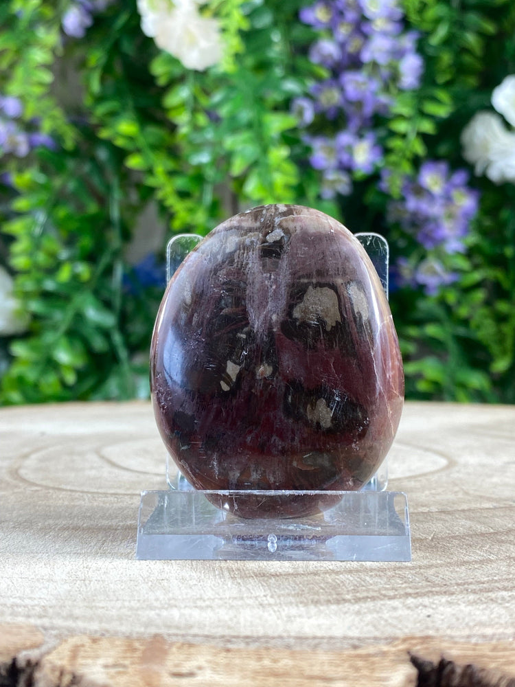 Elements of Avebury Petrified Wood