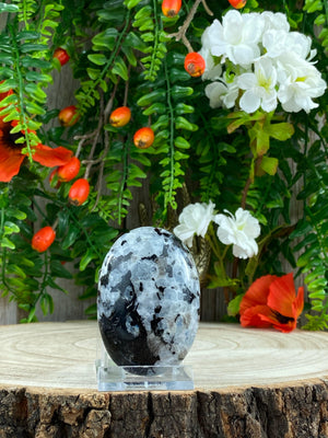 Elements of Avebury Crystal Rainbow Moonstone Palm Stone