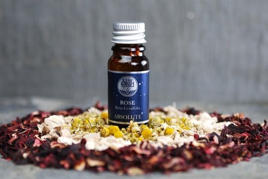 Rose Absolute Essential Oil