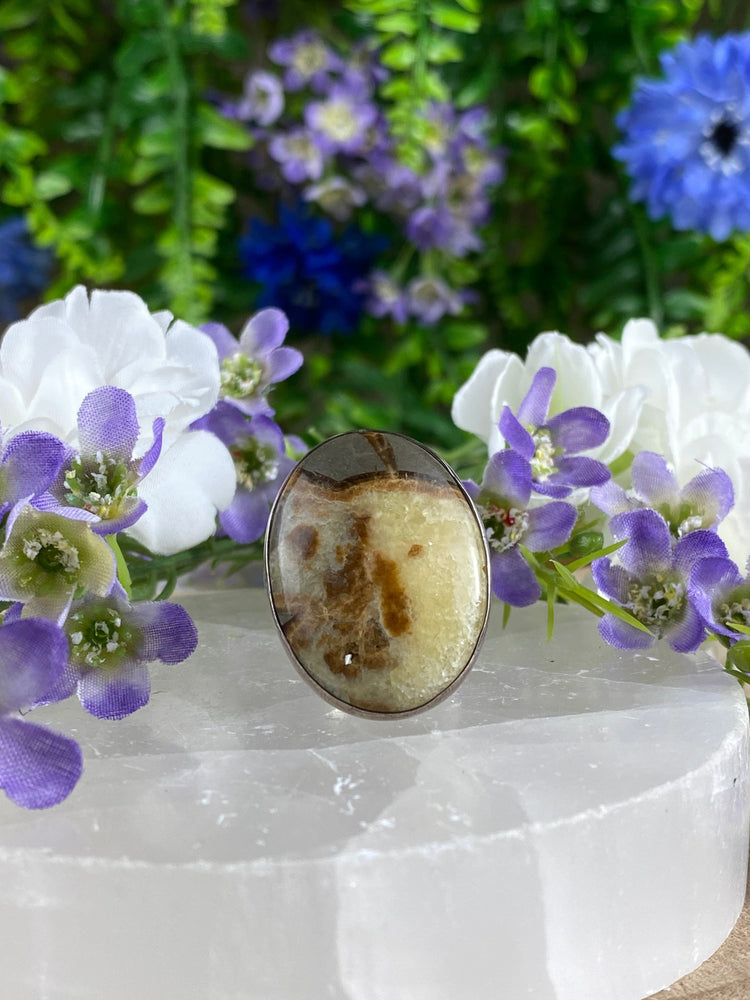 Elements of Avebury Septarian Ring