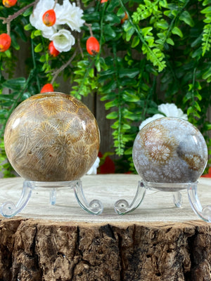 Indonesian Coral Sphere