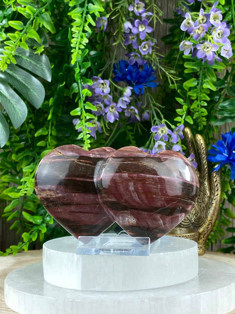 Fossilised Wood Heart