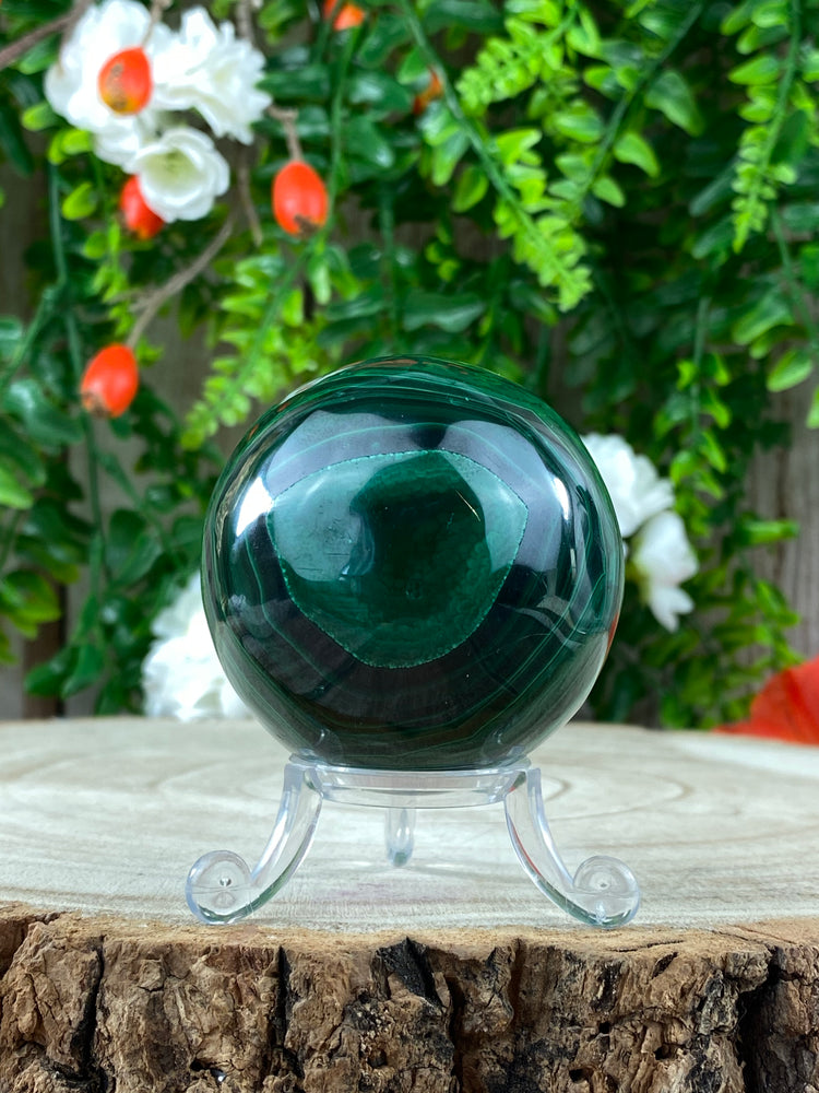 Malacholla Sphere