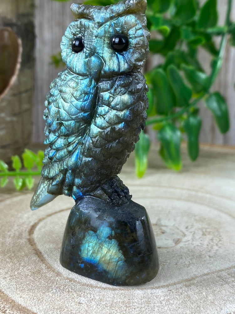 Labradorite Owl Carving
