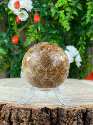 Indonesian Coral Sphere